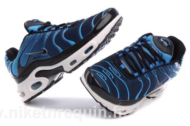 nike tn bleu 2010 (2).JPG